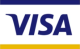 Visa Logo New